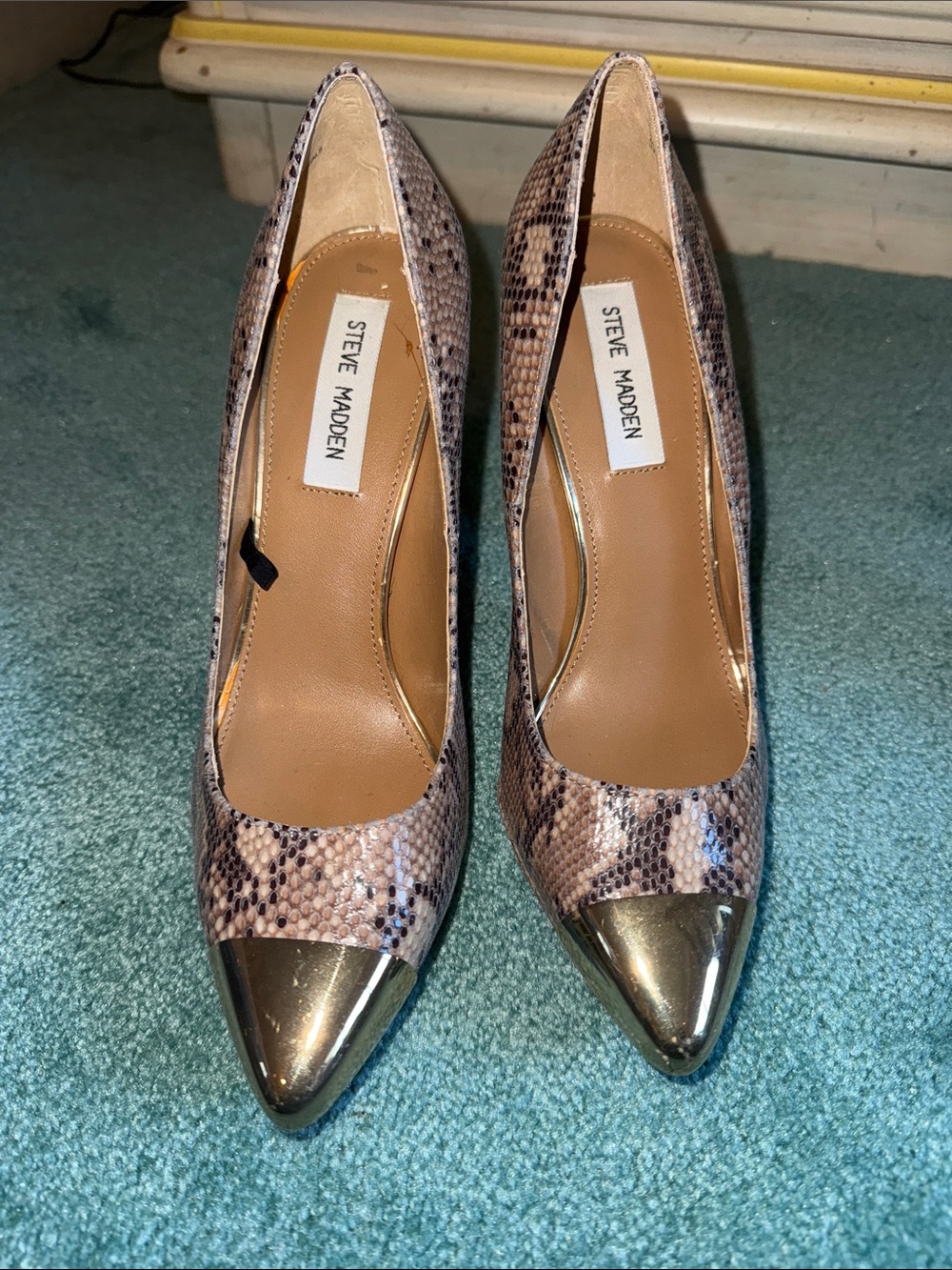 Steve Madden Snakeskin Pointed Heels with Gold Cap Toe 7.5